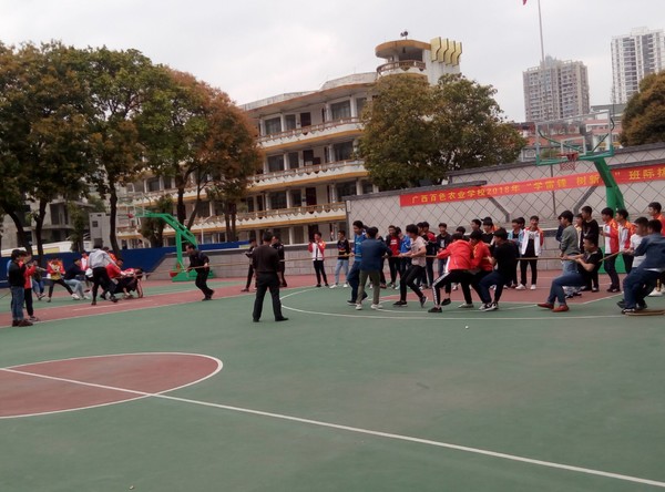 3_gaitubao_com_600x444.jpg