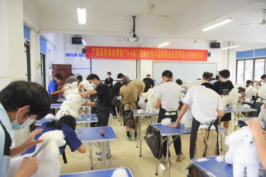图为考核现场.png