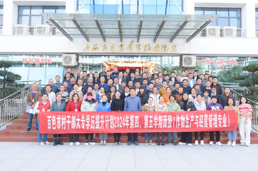 图片 7.png